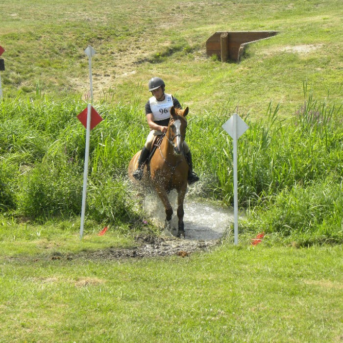 Sortie du gue sur le ptv des championnats de france trec 2010 700 64029